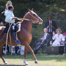 Kongeparet og Norges ambassadør til Argentina Jostein Leiro ser gauchoer vise sine kunster. Foto: Heiko Junge / NTB scanpix